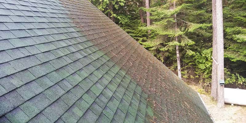 Roof Cleaning Service Near Me Woodinville Wa