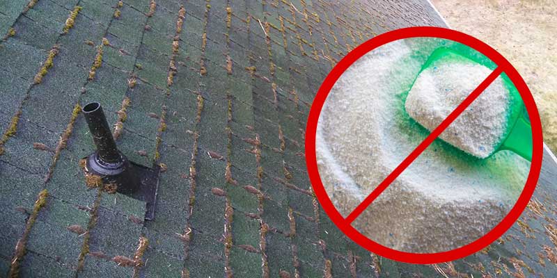 Moss Removal with Laundry Detergent