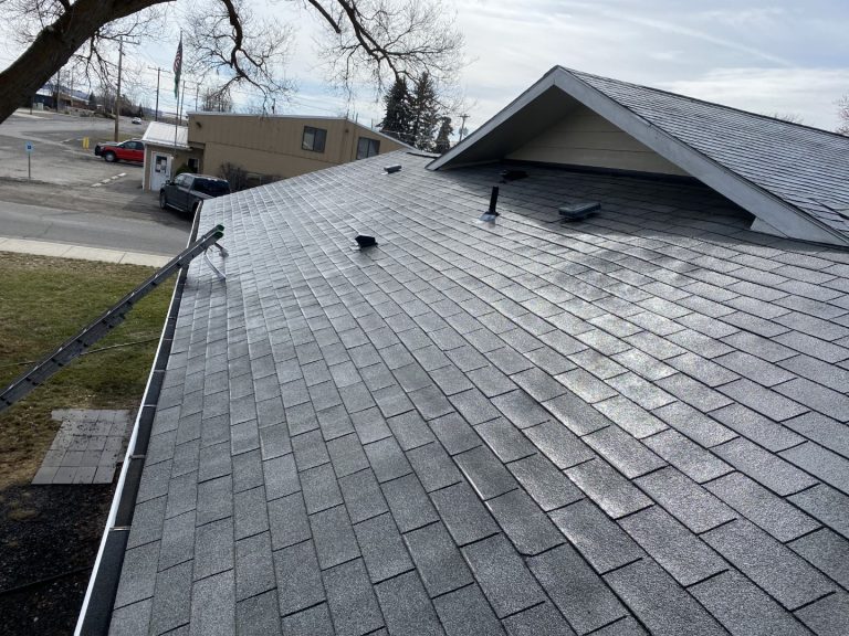 After Roof Moss Removal